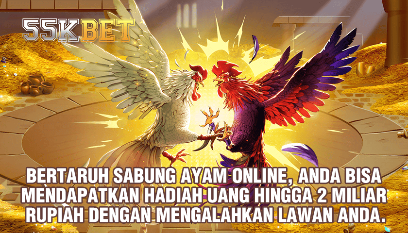 Api288 Winning Is A Guarantee